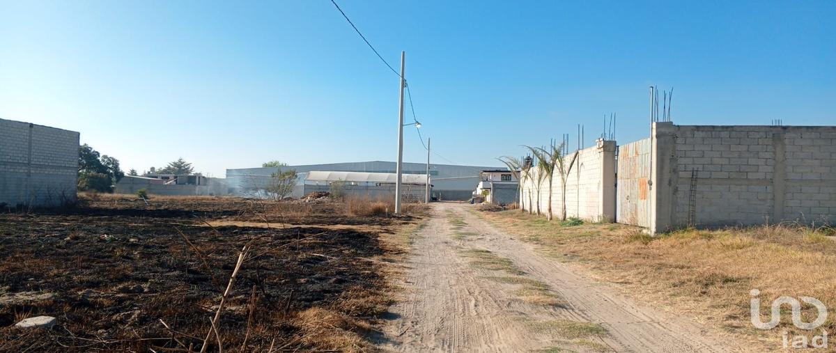 Foto de terreno habitacional en venta en avenida hidalgo 150, del campo, tepeaca, puebla, 29718842 No. 05
