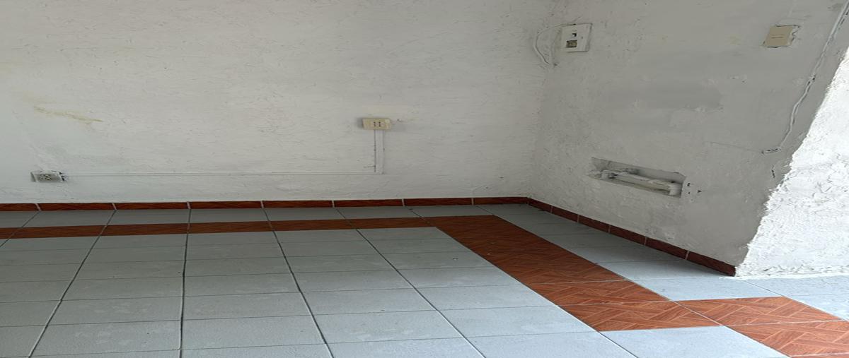 Foto de local en renta en avenida hidalgo , barrio san lucas, coyoacán, df / cdmx, 31471827 No. 03