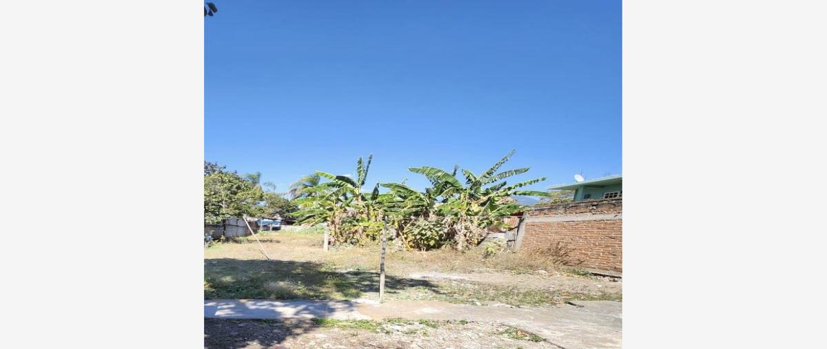 Foto de terreno habitacional en venta en avenida hidalgo , ciudad mendoza centro, camerino z. mendoza, veracruz de ignacio de la llave, 0 No. 03