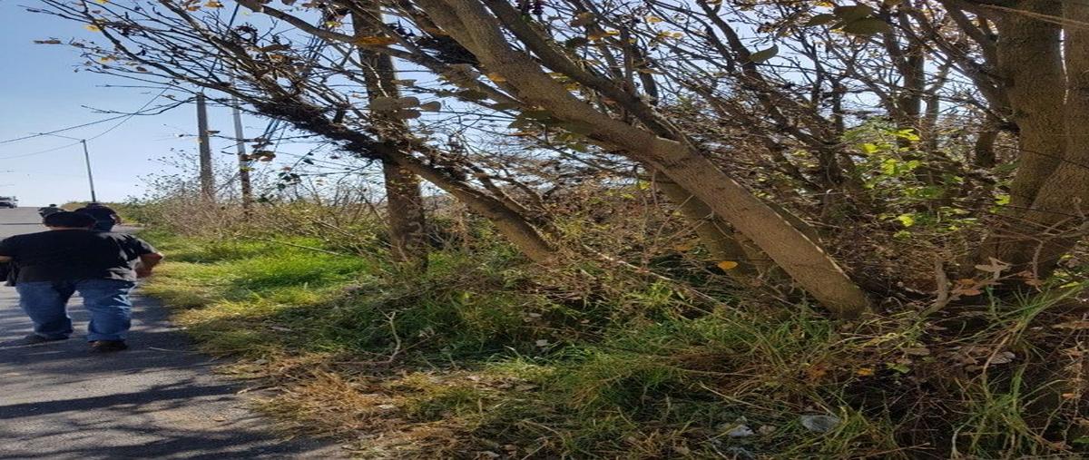 Foto de terreno habitacional en avenida hidalgo , san miguel tlaixpan, texcoco, méxico, 0 foto 02 Foto de terreno habitacional en venta en avenida hidalgo , san miguel tlaixpan, texcoco, méxico, 0 No. 02
