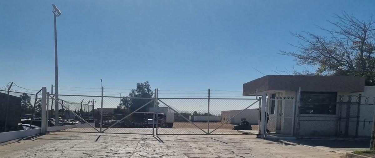 Foto de bodega en renta en avenida homero 390 , revolución, chihuahua, chihuahua, 27451672 No. 03