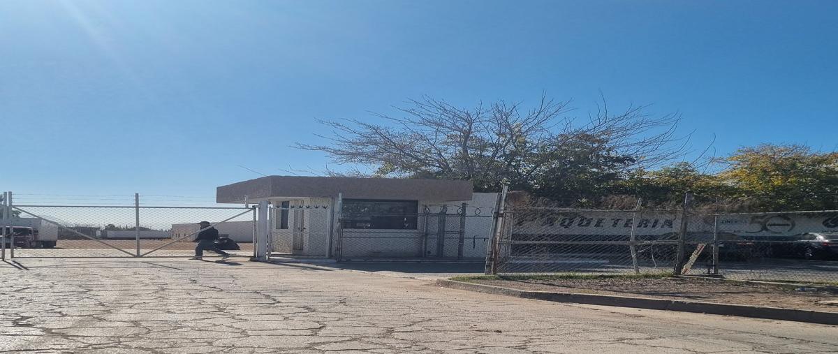 Foto de bodega en renta en avenida homero 390 , revolución, chihuahua, chihuahua, 27451672 No. 04