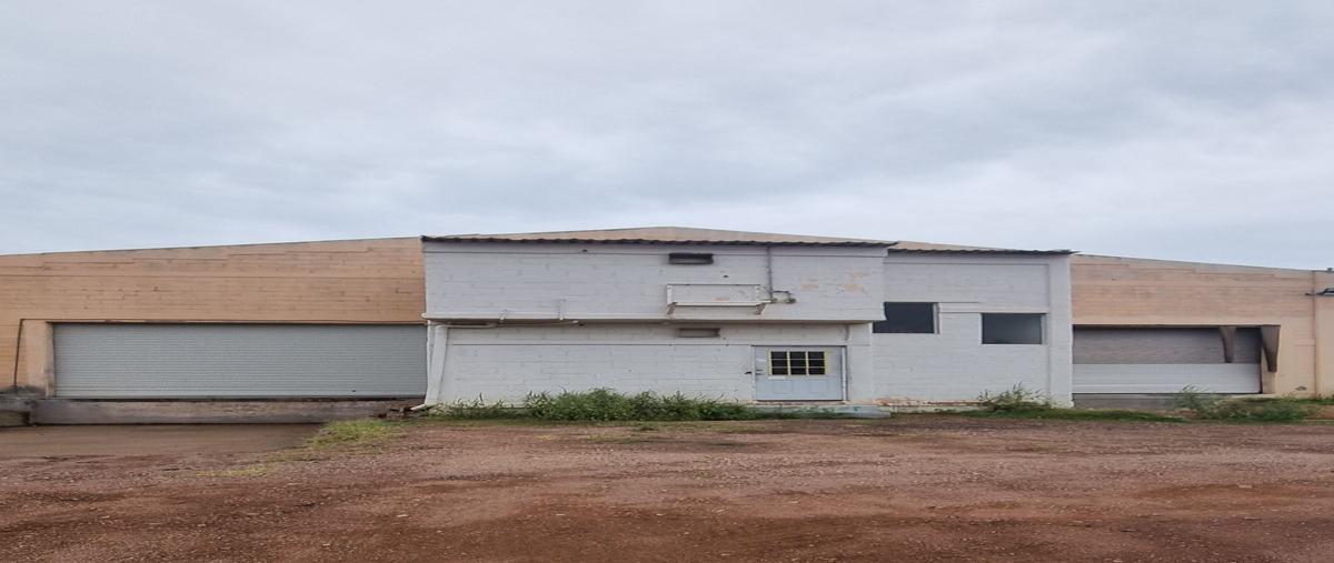 Foto de bodega en renta en avenida homero 390 , revolución, chihuahua, chihuahua, 27451672 No. 05