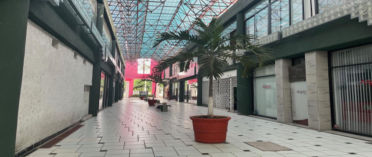 Foto de local en renta en avenida ignacio l. vallarta , vallarta poniente, guadalajara, jalisco, 30483215 No. 06