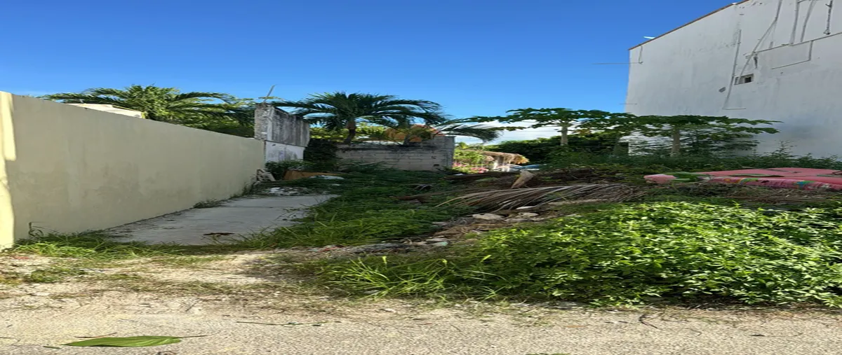 Foto de terreno habitacional en venta en avenida independencia 1, donceles, benito juárez, quintana roo, 0 No. 02