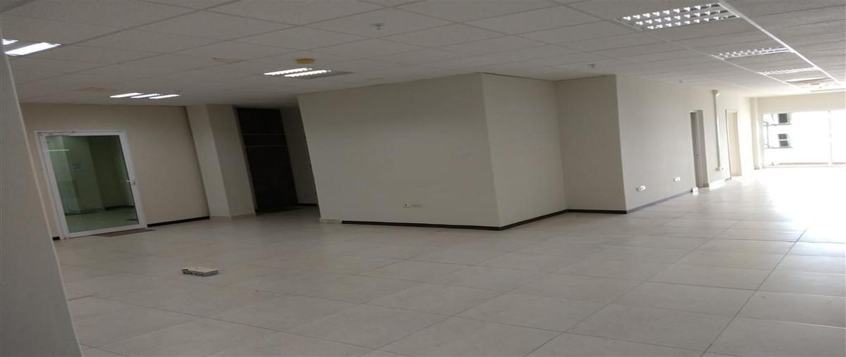 Foto de edificio en renta en avenida independencia 2165, centro sinaloa, culiacán, sinaloa, 25256623 No. 04