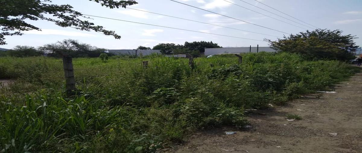 Foto de terreno comercial en venta en avenida independencia (carretera gdl-barra de navidad) n/a, rodriguez alcaine, autlán de navarro, jalisco, 0 No. 03
