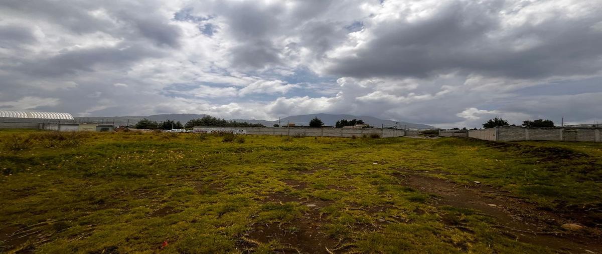 Foto de terreno habitacional en venta en avenida independencia , tenango de arista centro, tenango del valle, méxico, 0 No. 05