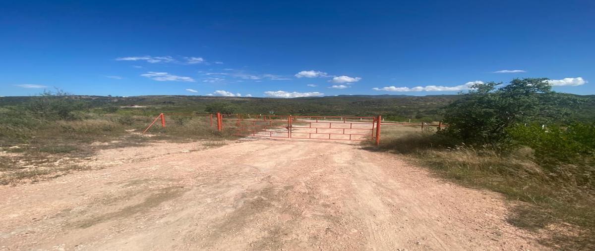 Foto de terreno comercial en venta en avenida insurgentes , ejidal, jesús maría, aguascalientes, 26141437 No. 05