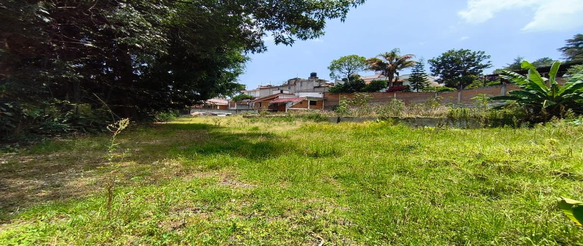 Foto de terreno habitacional en venta en avenida insurgentes , la trinidad, tenancingo, méxico, 0 No. 05