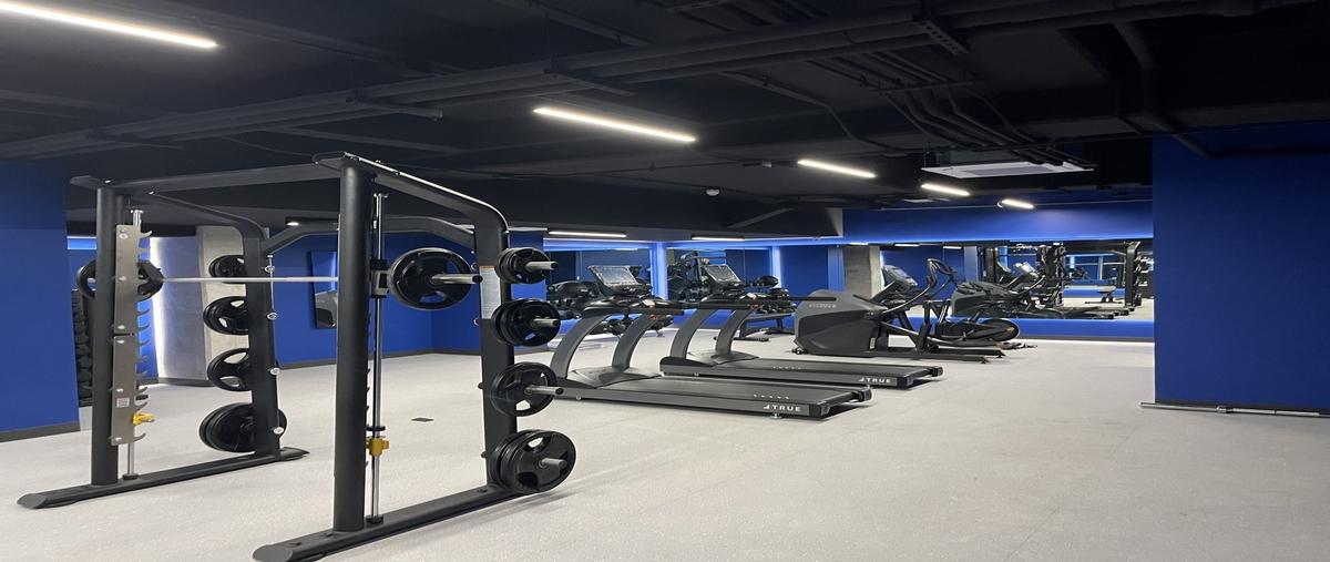 Foto de departamento en renta en avenida insurgentes , napoles, benito juárez, df / cdmx, 0 No. 05