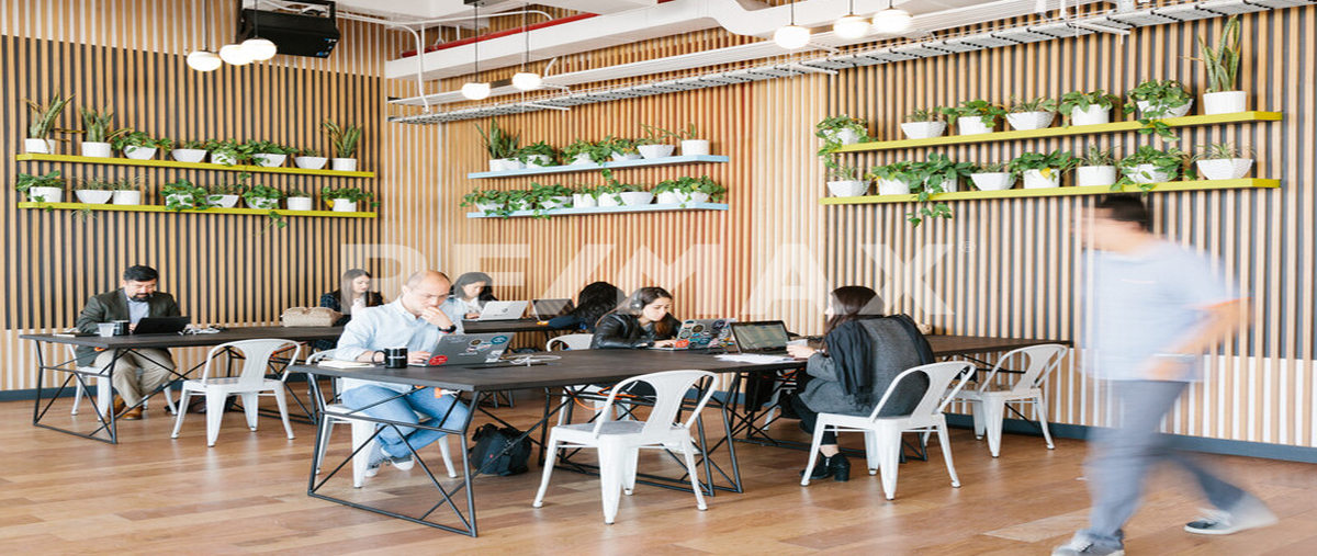 Foto de oficina en renta en avenida insurgentes sur , napoles, benito juárez, df / cdmx, 0 No. 03