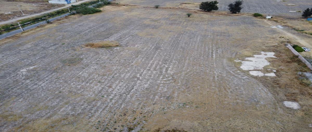 Foto de terreno comercial en venta en avenida irrigación , brisas del carmen, celaya, guanajuato, 26852567 No. 04