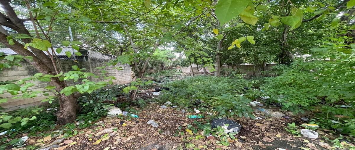 Foto de casa en venta en avenida itzaes , merida centro, mérida, yucatán, 0 No. 03