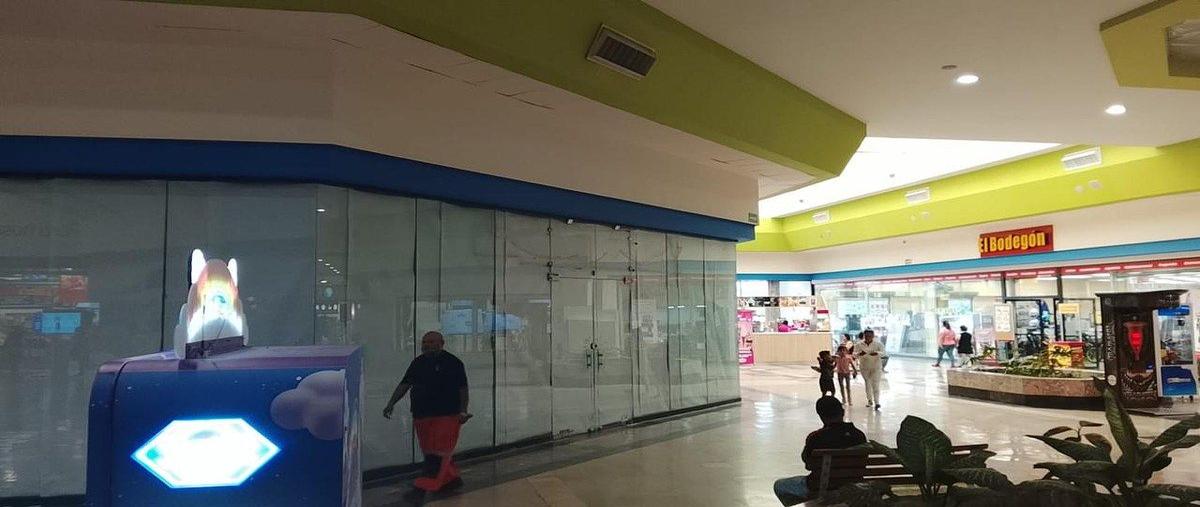 Foto de local en renta en avenida jacarandas , jacarandas, irapuato, guanajuato, 0 No. 03