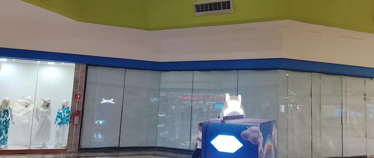 Foto de local en renta en avenida jacarandas , jacarandas, irapuato, guanajuato, 0 No. 04