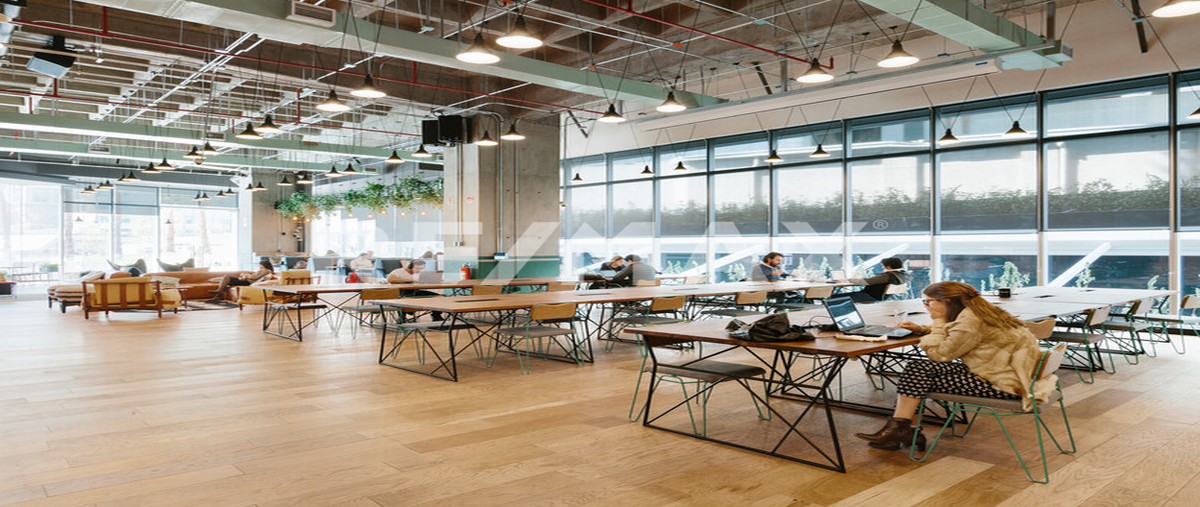 Foto de oficina en renta en avenida javier barros sierra , lomas de santa fe, álvaro obregón, df / cdmx, 0 No. 03