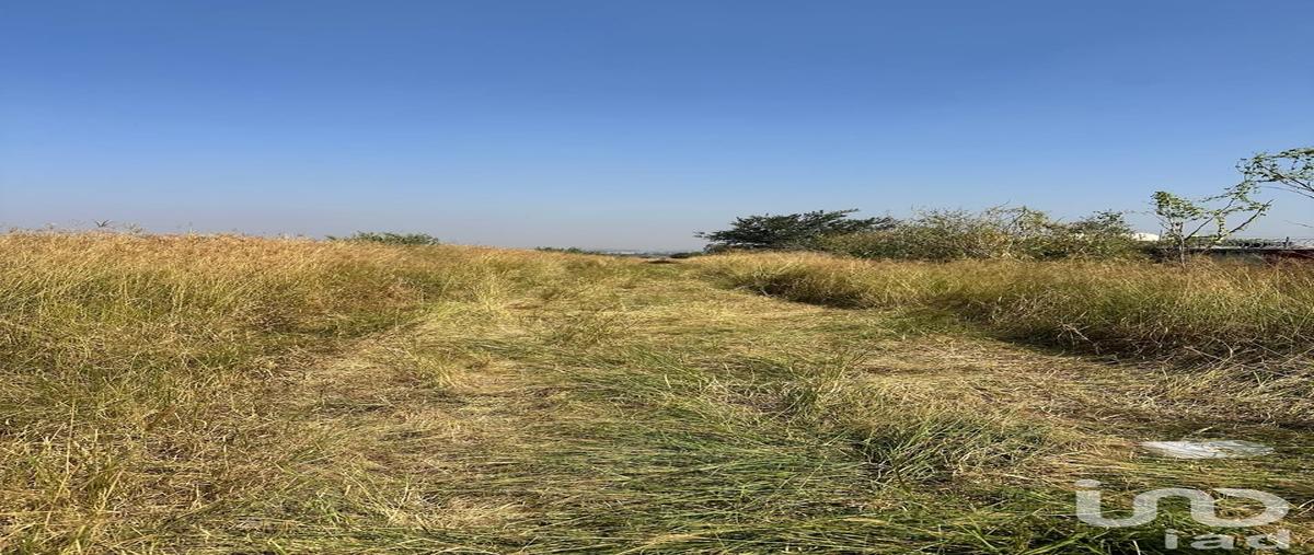 Foto de terreno habitacional en venta en avenida jesus michel gonzalez 1076, villas terranova, tlajomulco de zúñiga, jalisco, 30585700 No. 05