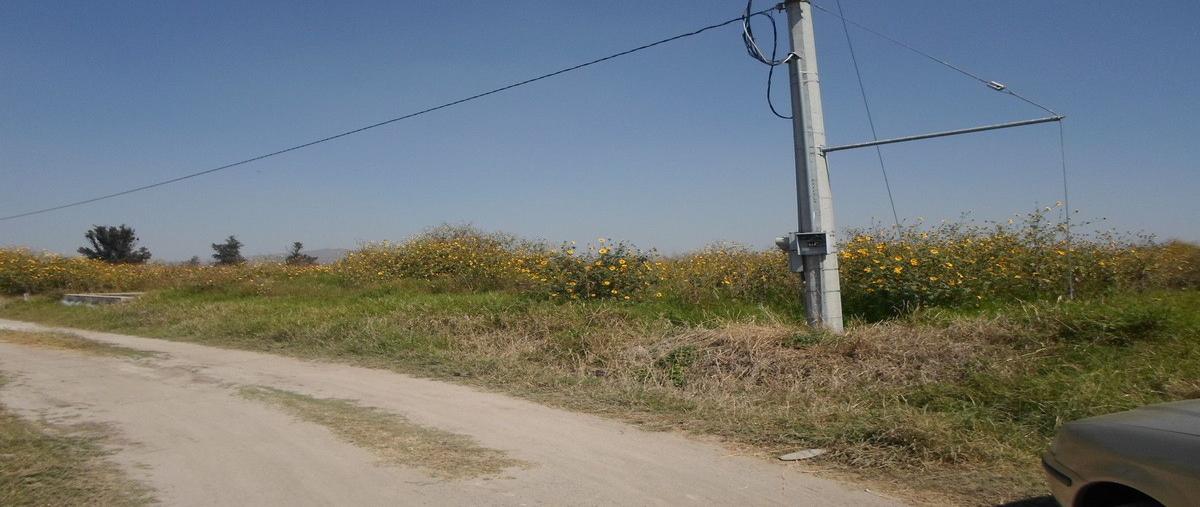Foto de terreno habitacional en avenida jesús michel gonzález , real del valle, tlajomulco de zúñiga, jalisco, 10632355 foto 02 Foto de terreno habitacional en venta en avenida jesús michel gonzález , real del valle, tlajomulco de zúñiga, jalisco, 10632355 No. 02
