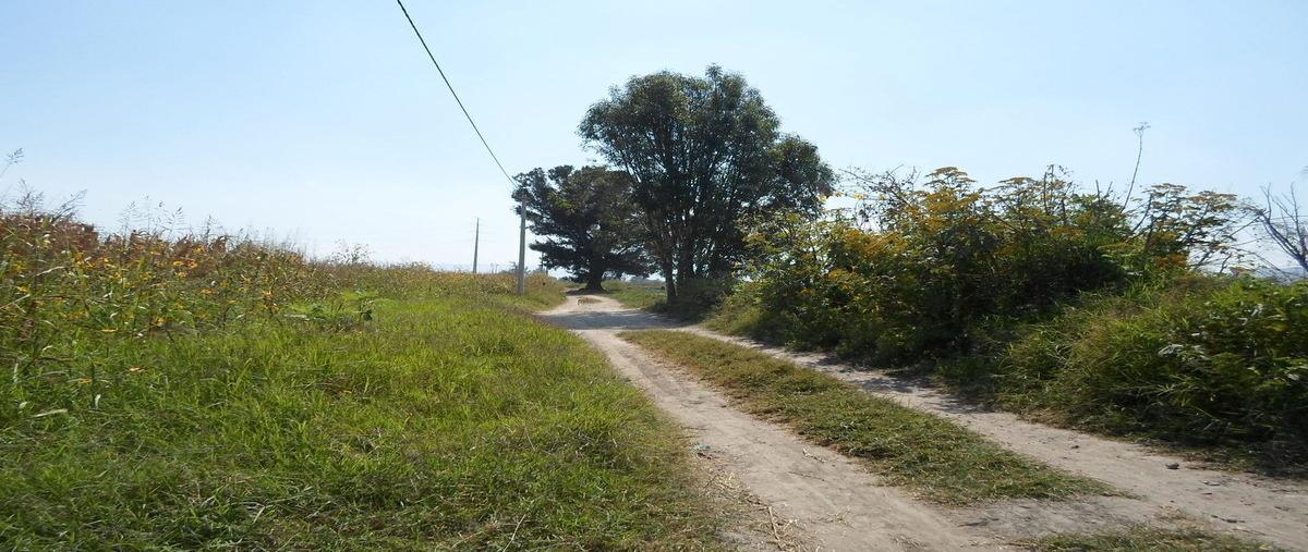Foto de terreno habitacional en venta en avenida j.michel gonzalez , san sebastián el grande, tlajomulco de zúñiga, jalisco, 28645998 No. 01