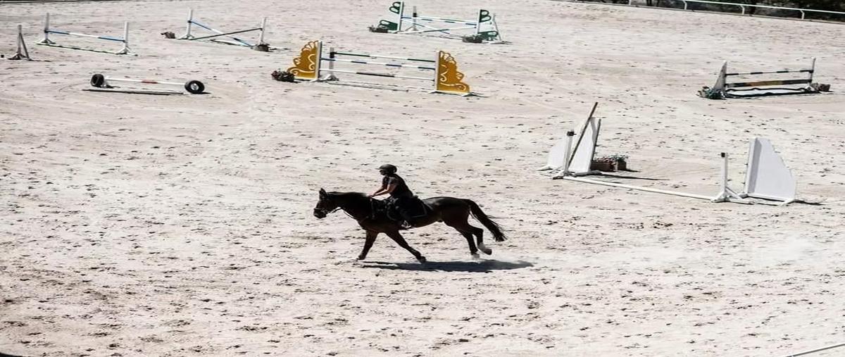 Foto de terreno habitacional en avenida jorge jiménez cantú , rancho san juan, atizapán de zaragoza, méxico, 0 foto 05 Foto de terreno habitacional en venta en avenida jorge jiménez cantú , rancho san juan, atizapán de zaragoza, méxico, 0 No. 05