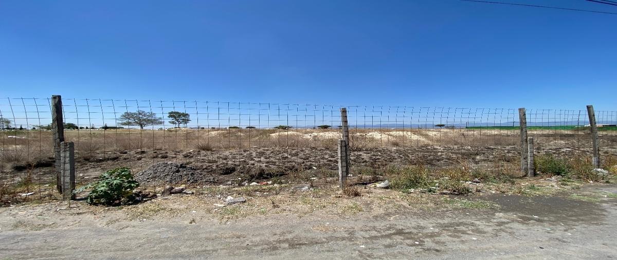 Foto de terreno habitacional en venta en avenida josé maria morelos , lomas de san francisco tepojaco, cuautitlán izcalli, méxico, 28113659 No. 03