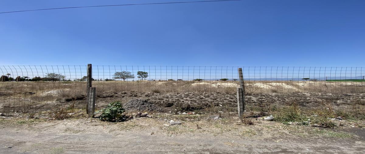 Foto de terreno habitacional en venta en avenida josé maría morelos , lomas de san francisco tepojaco, cuautitlán izcalli, méxico, 29625880 No. 04