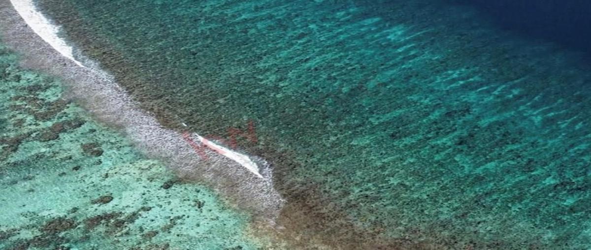 Foto de terreno industrial en avenida jose maria morelos , xcalak, othón p. blanco, quintana roo, 30213170 foto 01 Foto de terreno industrial en venta en avenida jose maria morelos , xcalak, othón p. blanco, quintana roo, 30213170 No. 01