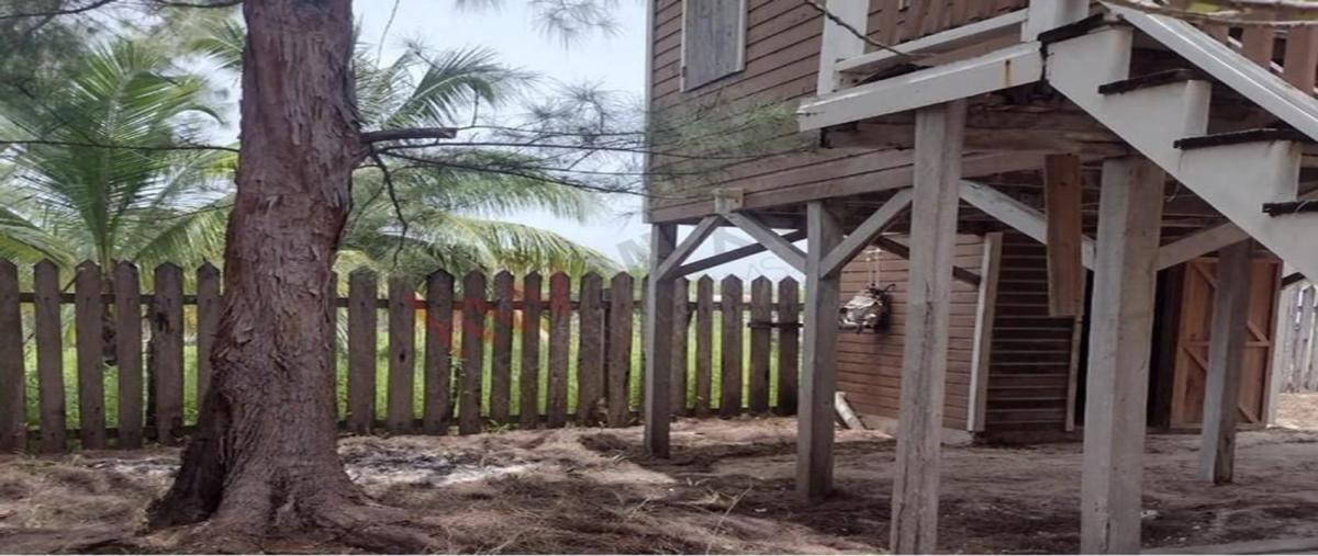 Foto de terreno industrial en avenida jose maria morelos , xcalak, othón p. blanco, quintana roo, 30213170 foto 03 Foto de terreno industrial en venta en avenida jose maria morelos , xcalak, othón p. blanco, quintana roo, 30213170 No. 03