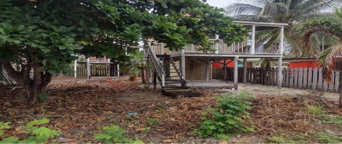 Foto de terreno industrial en avenida jose maria morelos , xcalak, othón p. blanco, quintana roo, 30213170 foto 04 Foto de terreno industrial en venta en avenida jose maria morelos , xcalak, othón p. blanco, quintana roo, 30213170 No. 04