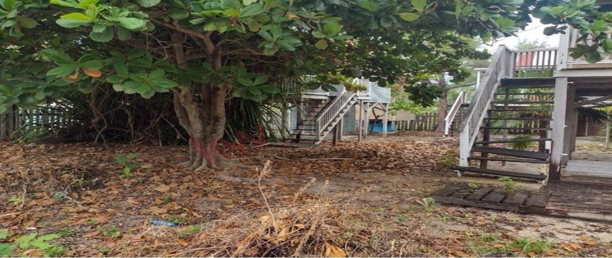 Foto de terreno industrial en avenida jose maria morelos , xcalak, othón p. blanco, quintana roo, 30213170 foto 06 Foto de terreno industrial en venta en avenida jose maria morelos , xcalak, othón p. blanco, quintana roo, 30213170 No. 06