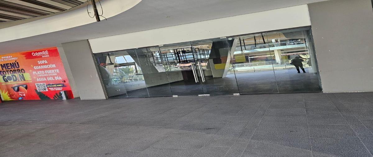 Foto de local en renta en avenida josé vasconcelos , del valle, san pedro garza garcía, nuevo león, 28421357 No. 05