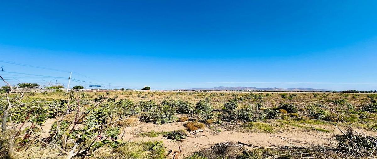 Foto de terreno habitacional en avenida juan gil preciado , valles de nuevo méxico (la periquera), zapopan, jalisco, 27973175 foto 04 Foto de terreno habitacional en venta en avenida juan gil preciado , valles de nuevo méxico (la periquera), zapopan, jalisco, 27973175 No. 04