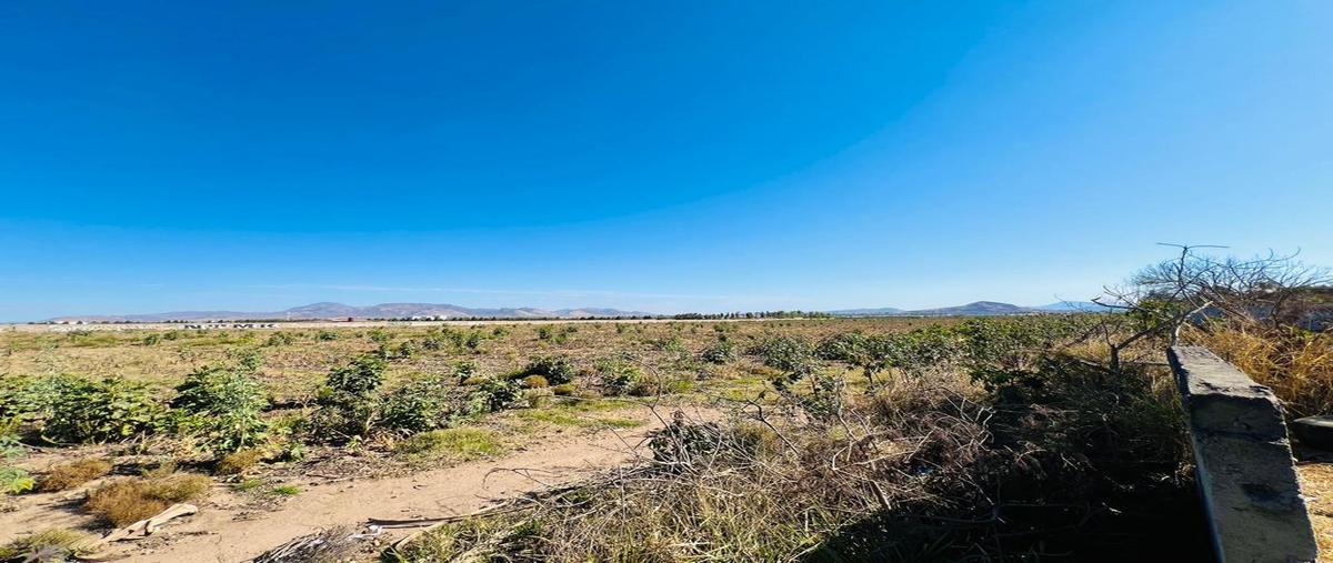 Foto de terreno habitacional en venta en avenida juan gil preciado , valles de nuevo méxico (la periquera), zapopan, jalisco, 27973176 No. 03