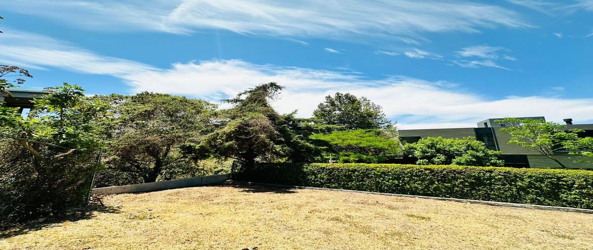 Foto de terreno habitacional en venta en avenida juan palomar y arias 1249, vallarta universidad, zapopan, jalisco, 0 No. 05