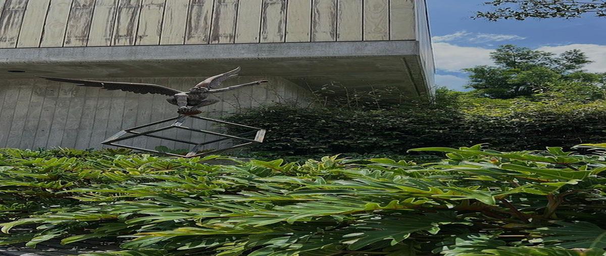 Foto de casa en avenida juan palomar y arias , royal country, zapopan, jalisco, 30977872 foto 04 Foto de casa en renta en avenida juan palomar y arias , royal country, zapopan, jalisco, 30977872 No. 04