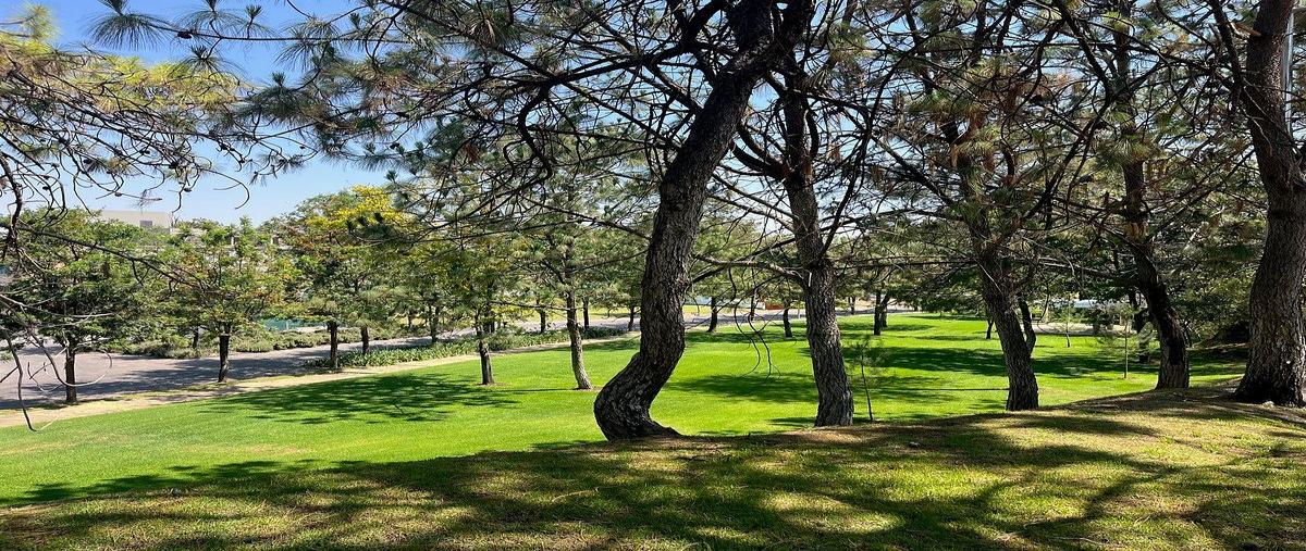 Foto de casa en venta en avenida juan palomar y arias , vallarta universidad, zapopan, jalisco, 0 No. 04