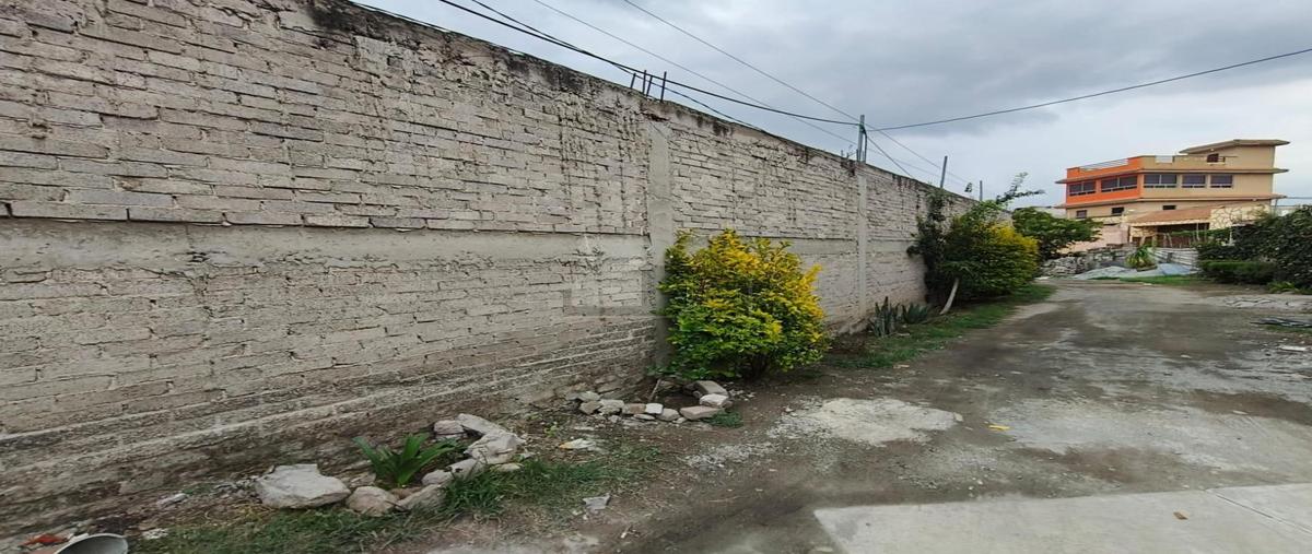 Foto de terreno habitacional en venta en avenida juarez 1, santa maría tulantongo, texcoco, méxico, 0 No. 04