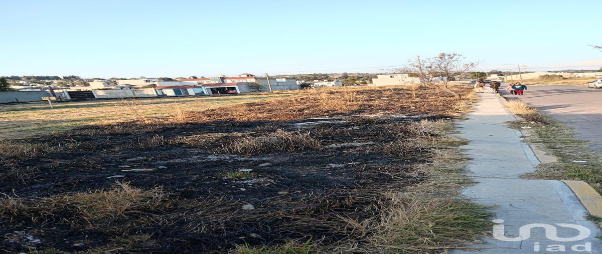Foto de terreno habitacional en venta en avenida juárez 164, san esteban tizatlan, tlaxcala, tlaxcala, 29494499 No. 04