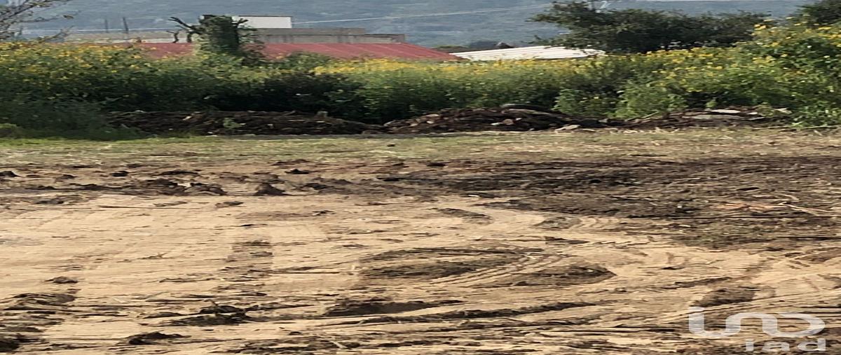 Foto de terreno habitacional en venta en avenida juárez 82, san esteban tizatlan, tlaxcala, tlaxcala, 28724073 No. 05