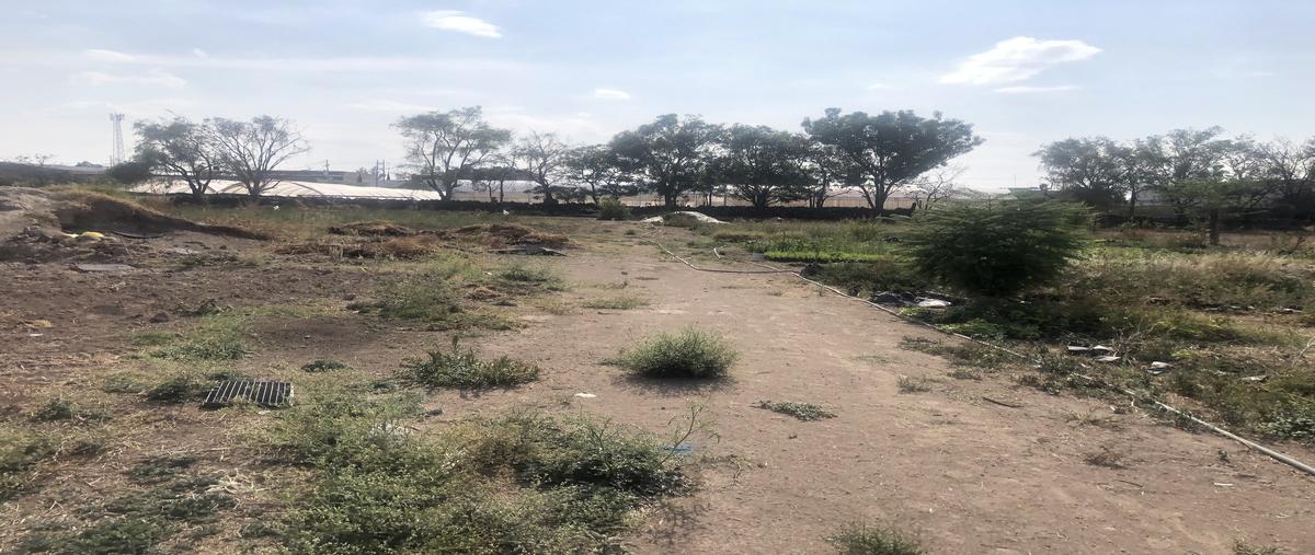 Foto de terreno industrial en venta en avenida juárez , coyula, tonalá, jalisco, 29089983 No. 04