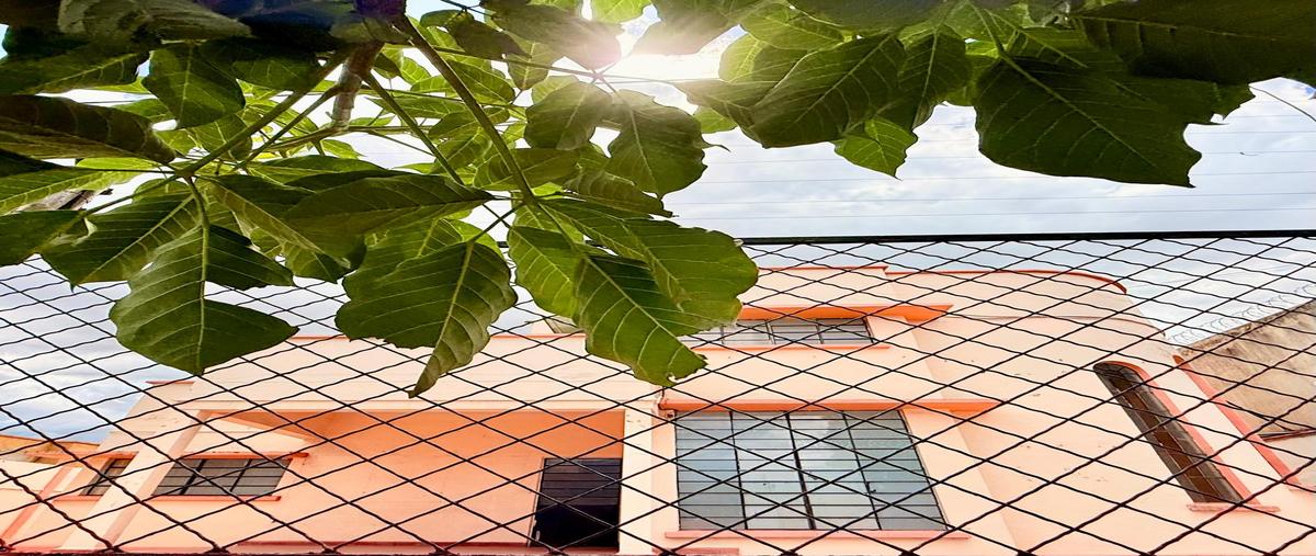 Foto de casa en renta en avenida júarez , oaxaca centro, oaxaca de juárez, oaxaca, 30186115 No. 13