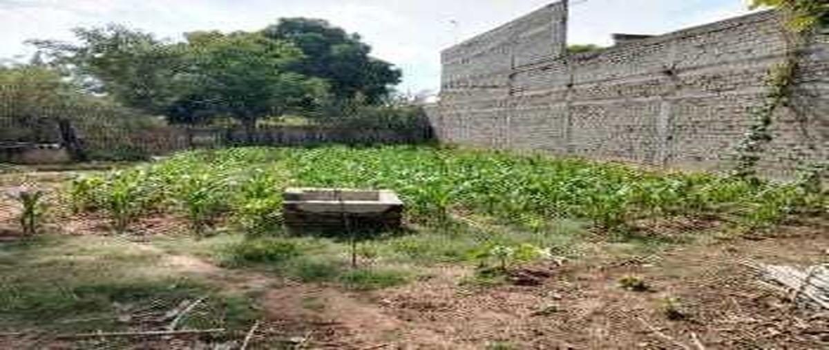 Foto de terreno habitacional en venta en avenida juarez , san antonio, san pablo huixtepec, oaxaca, 0 No. 03