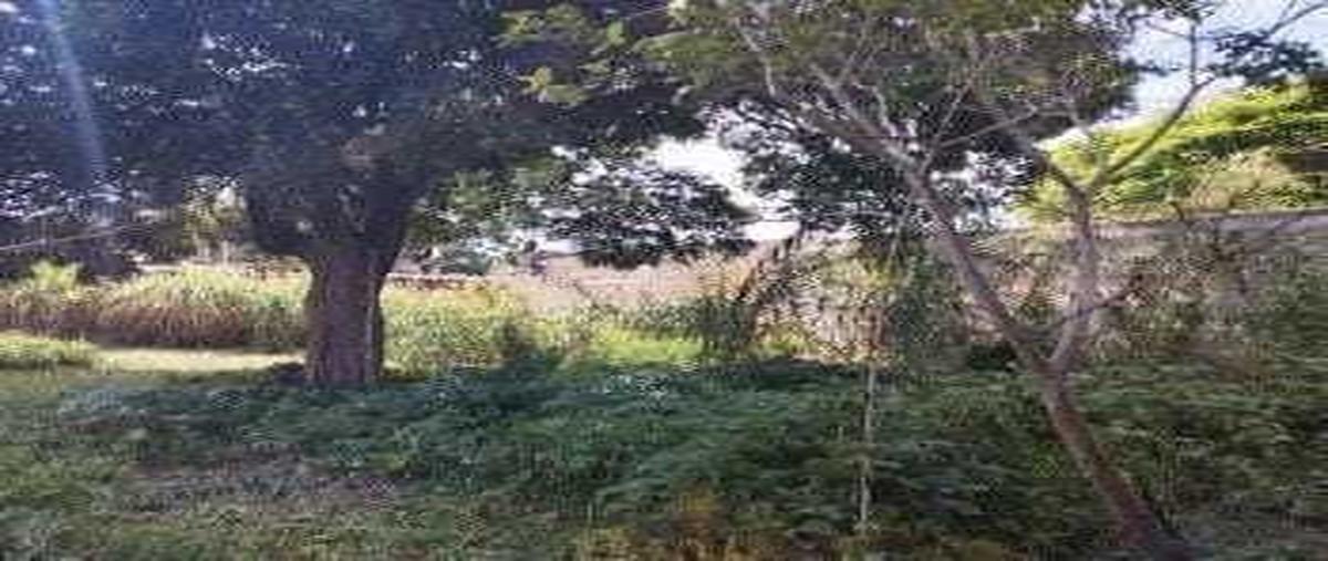 Foto de terreno habitacional en venta en avenida juarez , san antonio, san pablo huixtepec, oaxaca, 0 No. 04