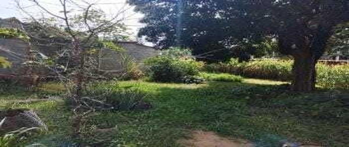 Foto de terreno habitacional en venta en avenida juarez , san antonio, san pablo huixtepec, oaxaca, 0 No. 05