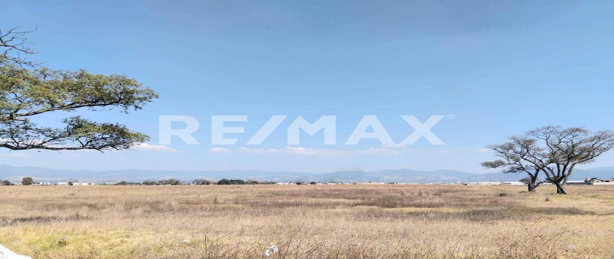 Foto de terreno comercial en venta en avenida juárez , san francisco xonacatlán de vicencio, xonacatlán, méxico, 30574105 No. 04