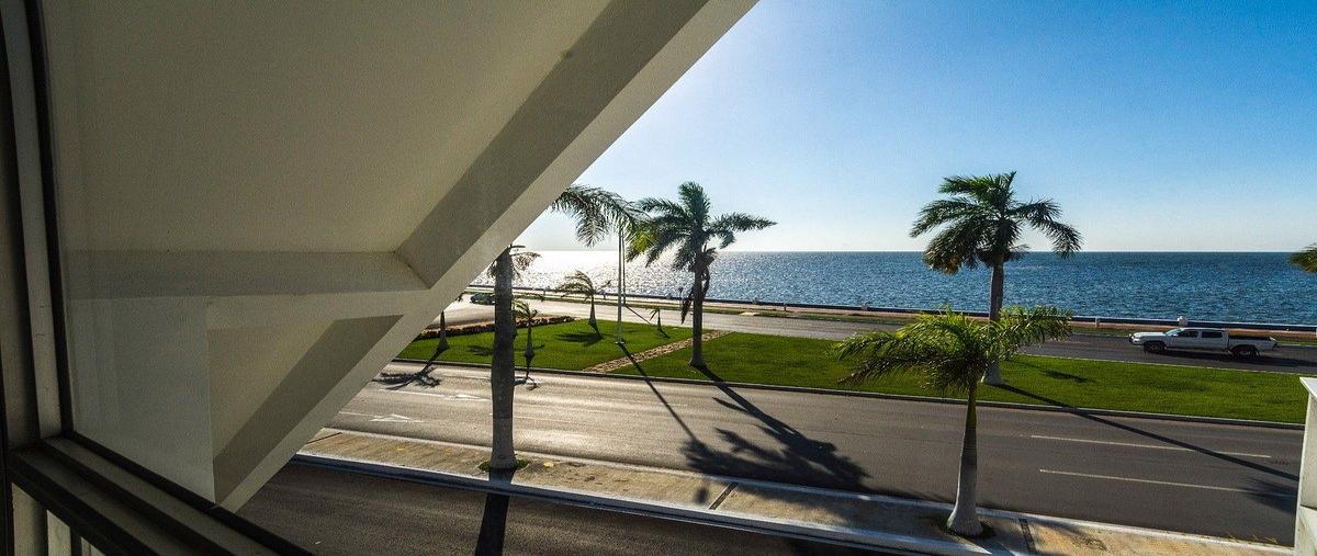 Foto de casa en avenida justo sierra méndez , san román, campeche, campeche, 0 foto 05 Foto de casa en renta en avenida justo sierra méndez , san román, campeche, campeche, 0 No. 05