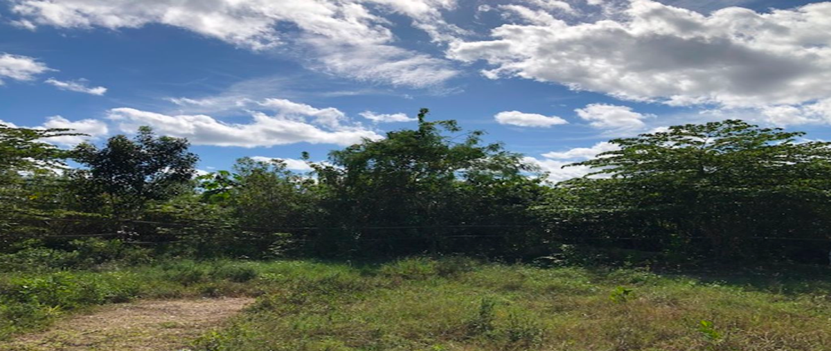 Foto de terreno habitacional en venta en avenida kukulcan , cancún centro, benito juárez, quintana roo, 27801908 No. 03
