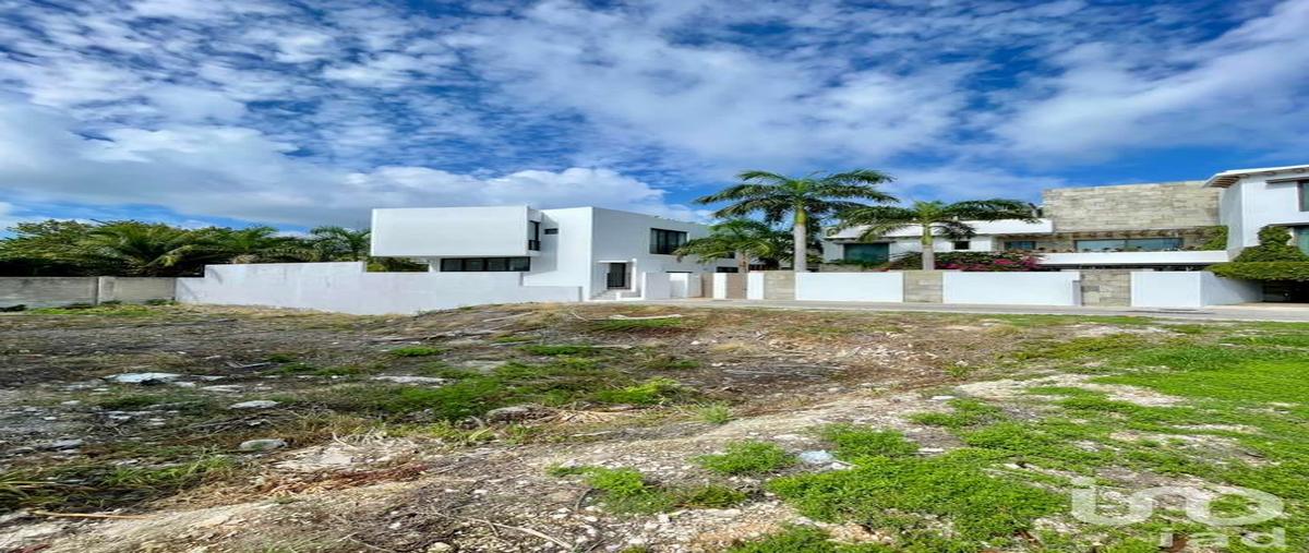 Foto de terreno habitacional en venta en avenida kukulcán , cancún centro, benito juárez, quintana roo, 30775589 No. 03