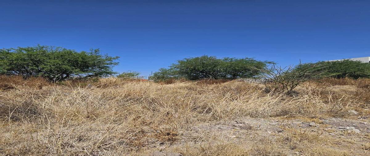 Foto de terreno habitacional en venta en avenida la espiga , la espiga, querétaro, querétaro, 0 No. 12